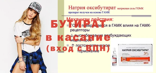 индика Гусев