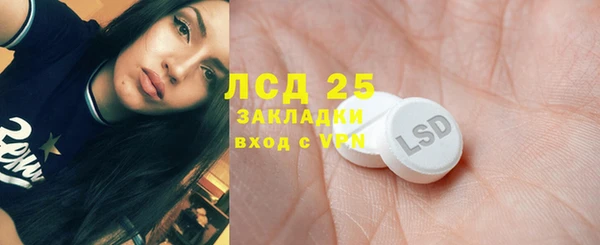 эйфоретик Вяземский