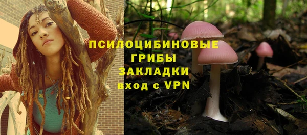 эйфоретик Вяземский